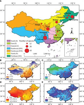 Autumn phenology of tree species in China is associated more with climate than with spring phenology and phylogeny